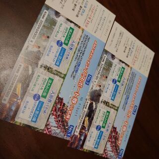 ナガシマスパーランド パスポート２枚