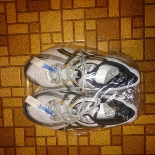 アシックスasicsメンズ