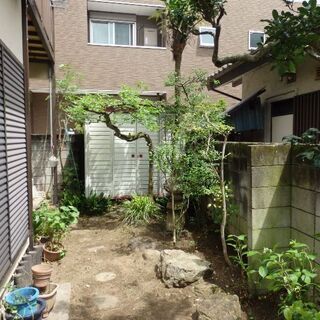 庭木のお手入れお任せくださいm(__)m - 剪定/造園