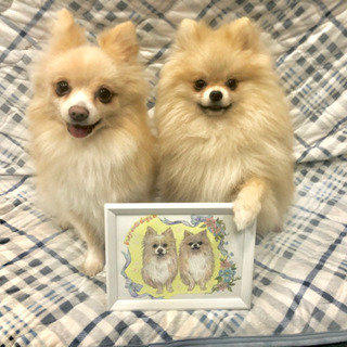 犬友達🐶💞