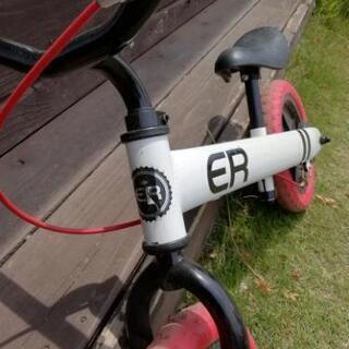 ERストライダーの画像