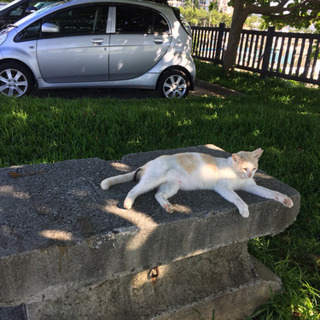 趣味を教えてください