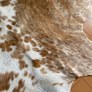 カウラグ　牛皮　ブラウンxホワイト