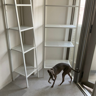 IKEA LERBERG レールベリ シェルフユニット