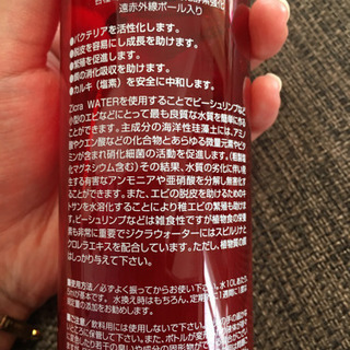 ジクラウォーター　ベニッシモ　バクテリア　アクアリウム　レッドビーシュリンプ の画像