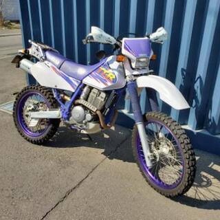 YAMAHA☆TT-R250～オマケ多数👍早い者勝ち‼️