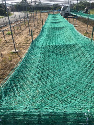 網　園芸獣除けに