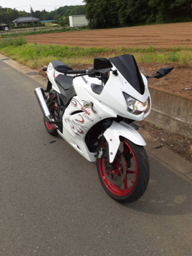 バイク ninja250R