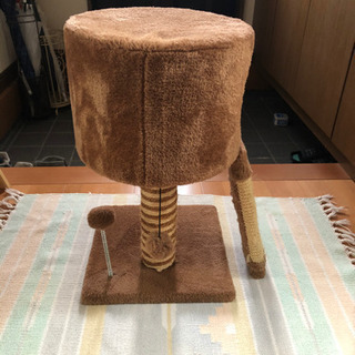 子猫用キャットタワー（早い方に決まりました。ありがとうございました）