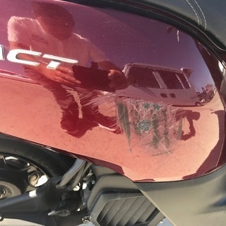 ホンダ　タクト 　AF75 　実働車　50cc　原付の画像