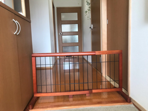 小型犬セット