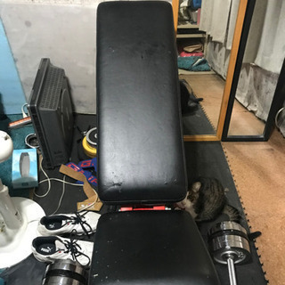 トレーニングベンチの画像