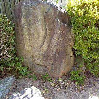 庭石各種の画像