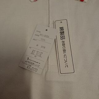 【値下げしました】鹿の子地 半袖ポロシャツの画像