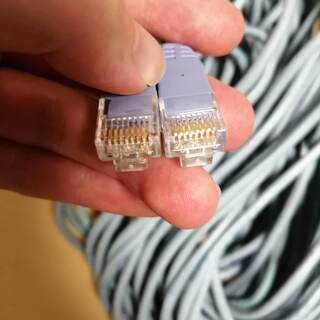 LANケーブル１０M　2本セットの画像