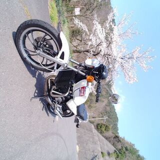 島根　鳥取のライダーさん。2サイクルに乗ってる方　一緒に走りませんか？ - 松江市