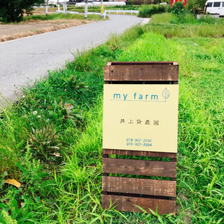 自給自足しよう！貸農園利用者募集中！