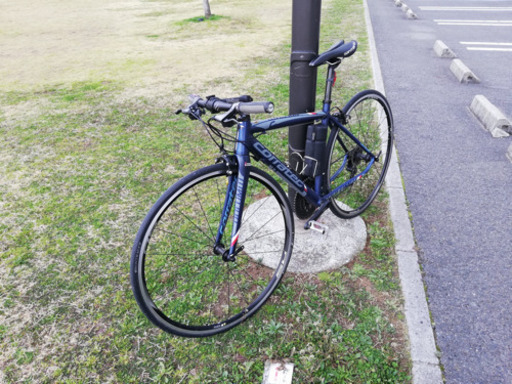 コラテック ドロミテ2015年モデル48サイズ