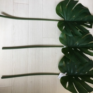 IKEAのフェイクグリーン3本（モンステラ）