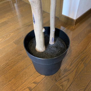 IKEA 人工観葉植物　ベンジャミンの画像