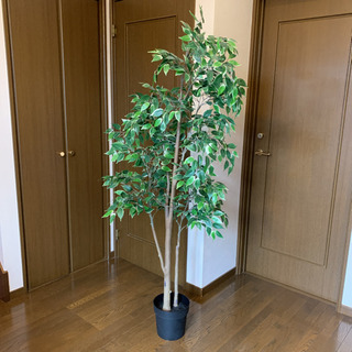 IKEA 人工観葉植物　ベンジャミン