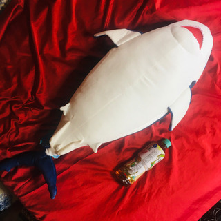 大きいぬいぐるみ　サメの画像