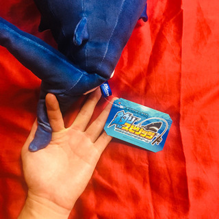 大きいぬいぐるみ　サメの画像