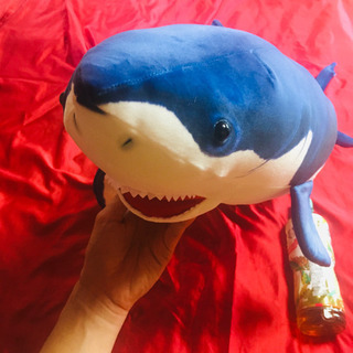 大きいぬいぐるみ　サメの画像