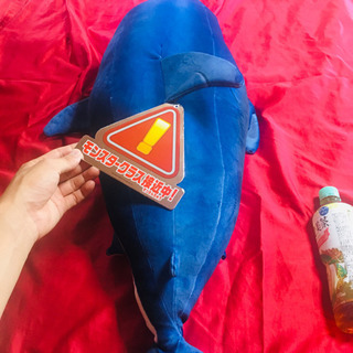 大きいぬいぐるみ　サメの画像