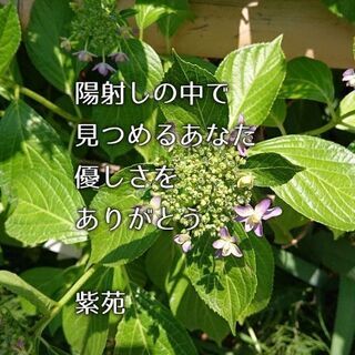 (癒しの間集いの会)精神疾患の方々と共に集える場所作りしてます。 - 高崎市