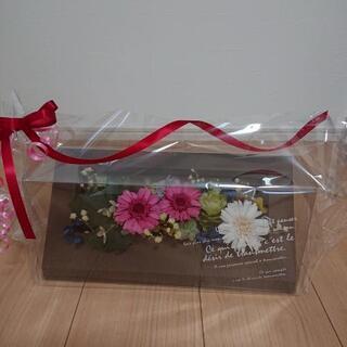 ブリザードフラワー🌼*･の画像