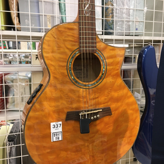 アイバニーズ(IBANEZ) EW30QME-TM01201