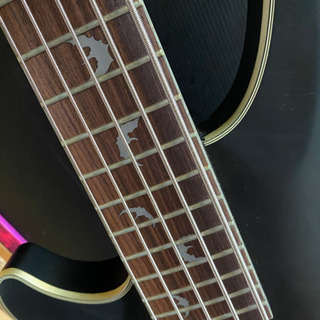 MODEL-T SESSION | SCHECTER