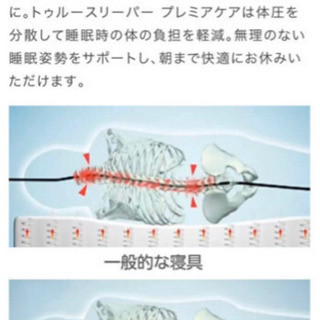 トゥルースリーパー　セミダブルの画像