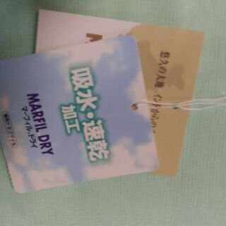 七分袖Tシャツ　3Lの画像