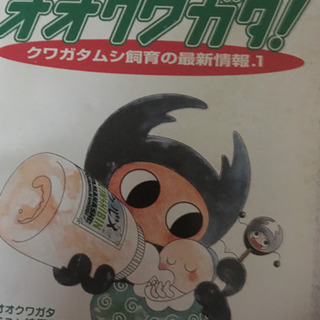 カブト、クワガタの種類の画像
