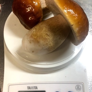 【激レア】札幌産生ポルチーニ【値下】の画像