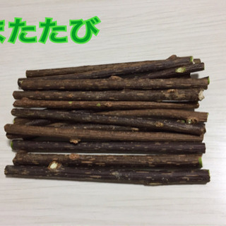 またたび マタタビ 猫 ネコ おもちゃの画像