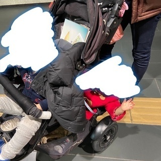 2人乗りベビーカーフィルアンドテッズ