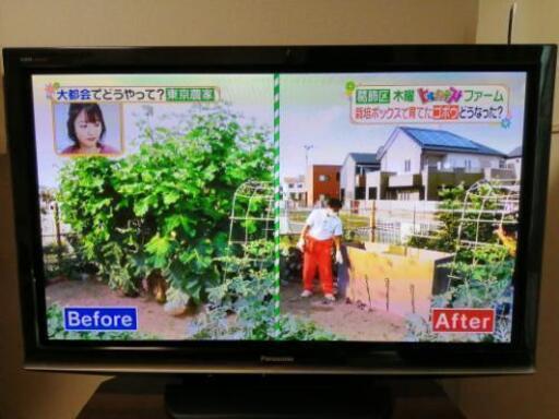 Panasonic ﾌﾟﾗｽﾞﾏﾃﾚﾋﾞ 46v型