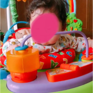 【help！！】ベビーザらス限定 フィッシャー・プライス バイリ...