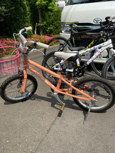 ルイガノ　16インチ自転車