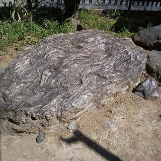 庭石各種の画像