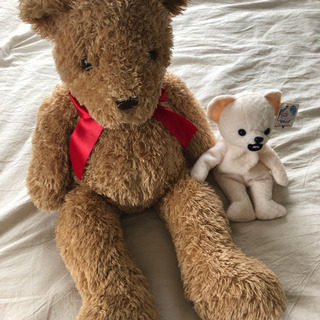 【ぬいぐるみ】テディベア セット