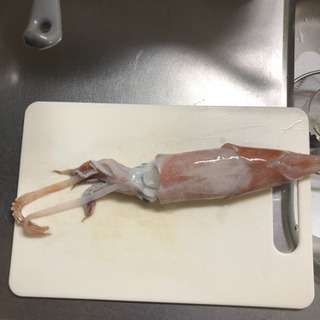 釣り仲間募集です。