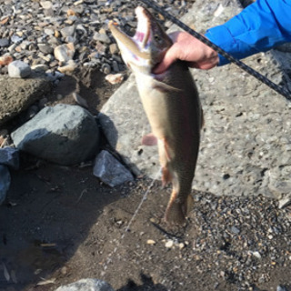 渓流 渓流釣り 群馬 釣りしませんか？