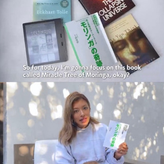 🌳「奇跡の木」モリンガ 実生苗 の画像