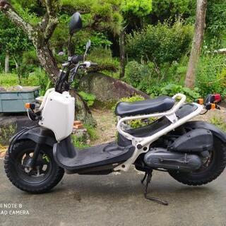 ホンダ　ズーマー 　お話し中の画像