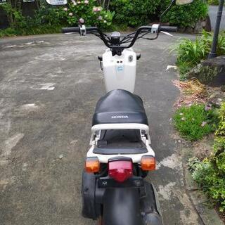 ホンダ　ズーマー 　お話し中の画像