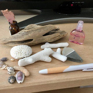 海からの贈り物☆ハンドクラフトの材料になど